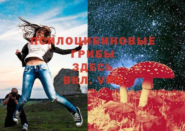 мяу мяу мука Бородино