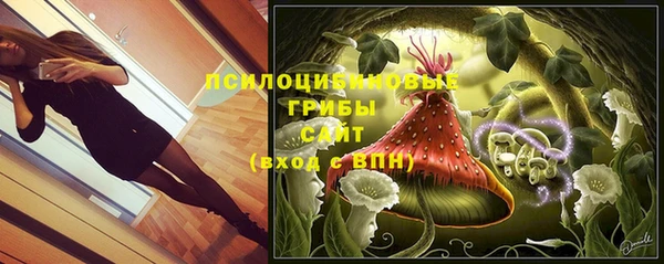 jwh Богородск