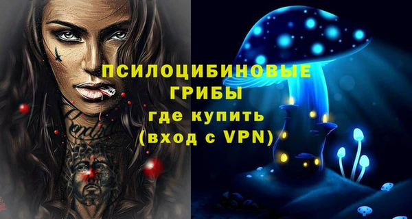 мяу мяу мука Бородино